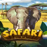 Safari